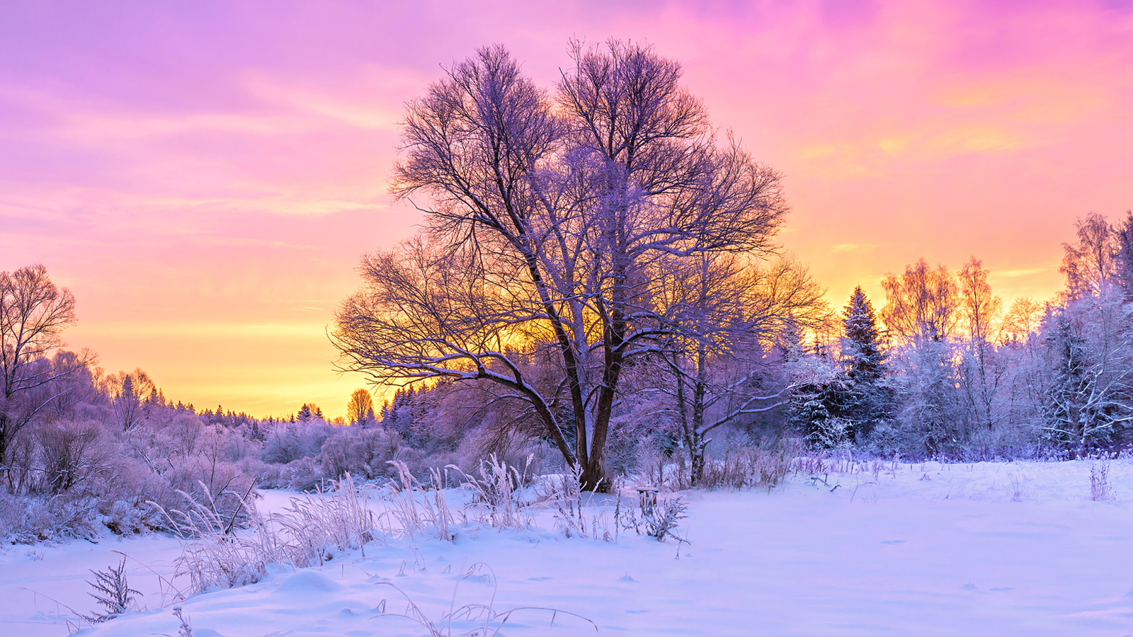  JOPPIES DUMP - AIRGUNS.NL - HILVERSUM / LET OP ; MAANDAG EN DONDERDAG GESLOTEN !! 