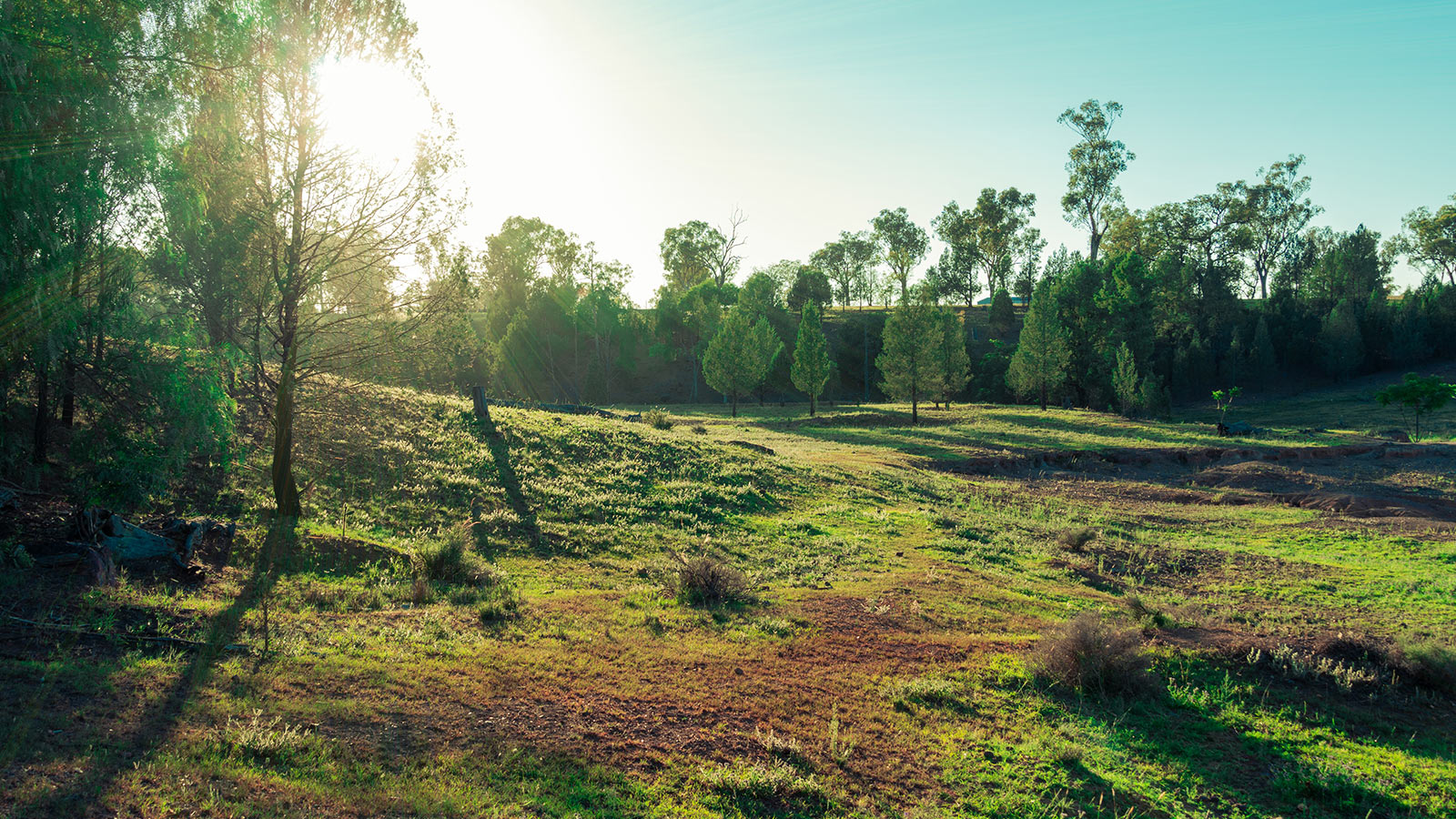 JOPPIES DUMP-AIRGUNS.NL - HILVERSUM  /  LET OP ; BEPERKTE OPENINGSTIJDEN IVM WAPENWETGEVING / ERKENNINGHOUDER GEZOCHT VOOR DE ZATERDAG VERKOOP .