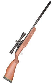 Gamo - gamo bone collector hunter 22 1