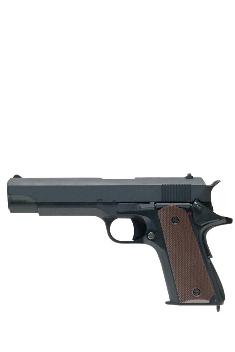 GSG - gsg 1911 aep 2