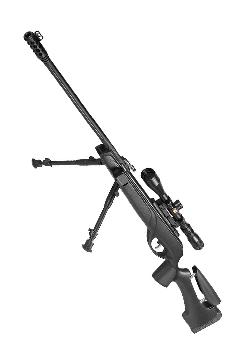 Gamo - gamo hpa storm igt 2